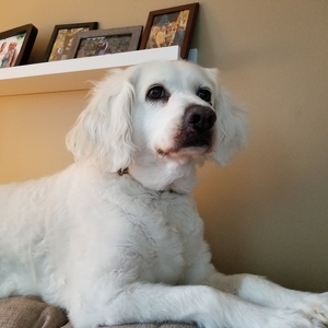 Fundraising Page: Donna Johnston